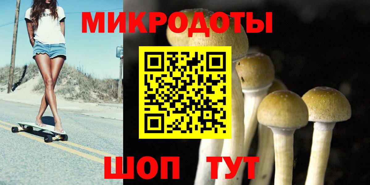 Псилоцибиновые грибы прущие грибы  Псилоцибиновые грибы мицелий  Нефтекумск  Вход с VPN 